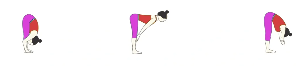 Step-by-Step half forward bend