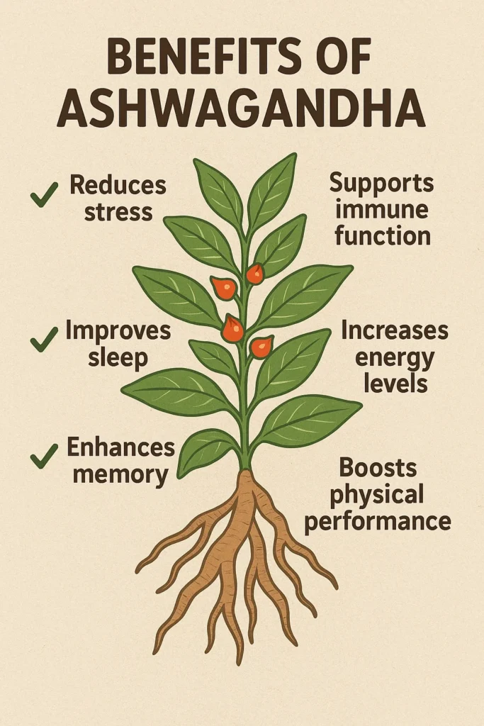 uses of ashwagandha